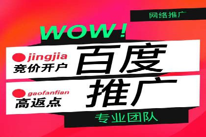 SEM推广代运营案例：行业应用